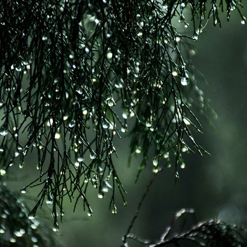 ¿Qué problemas encontramos durante la temporada de lluvias?